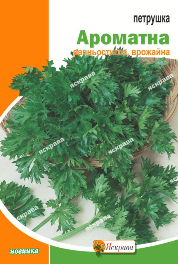 

Петрушка листовая Ароматная 20 г, семена Яскрава