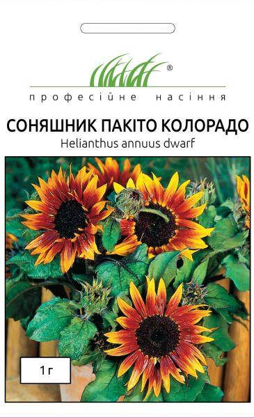 

Подсолнечник Пакито Колорадо смесь 1 г
