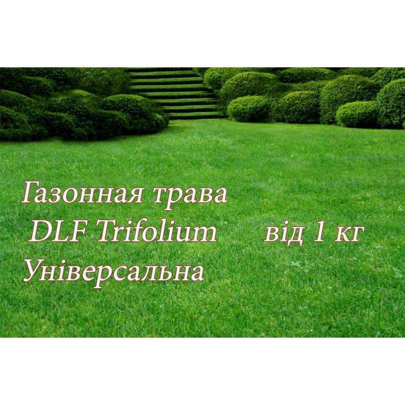 

Газонная трава ДЛФ универсальная (DLF-TRIFOLIUM UNIVERSAL ROBUSTICA) 1 кг
