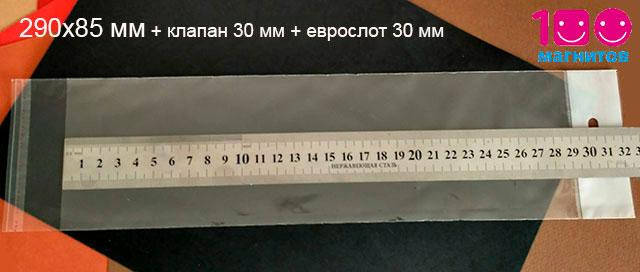 

Пакеты с еврослотом и клейкой лентой. Размер 290х85 мм. Уп. 100 шт, Прозрачный