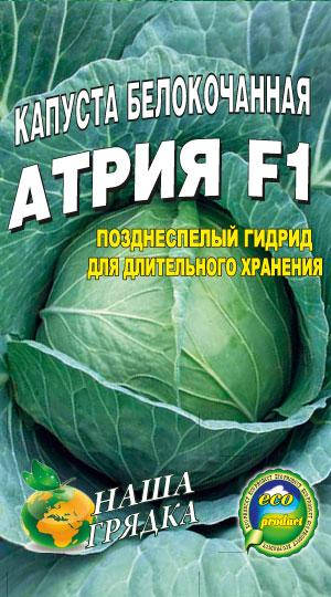 

Капуста Атрия пакет 5 грамм семян