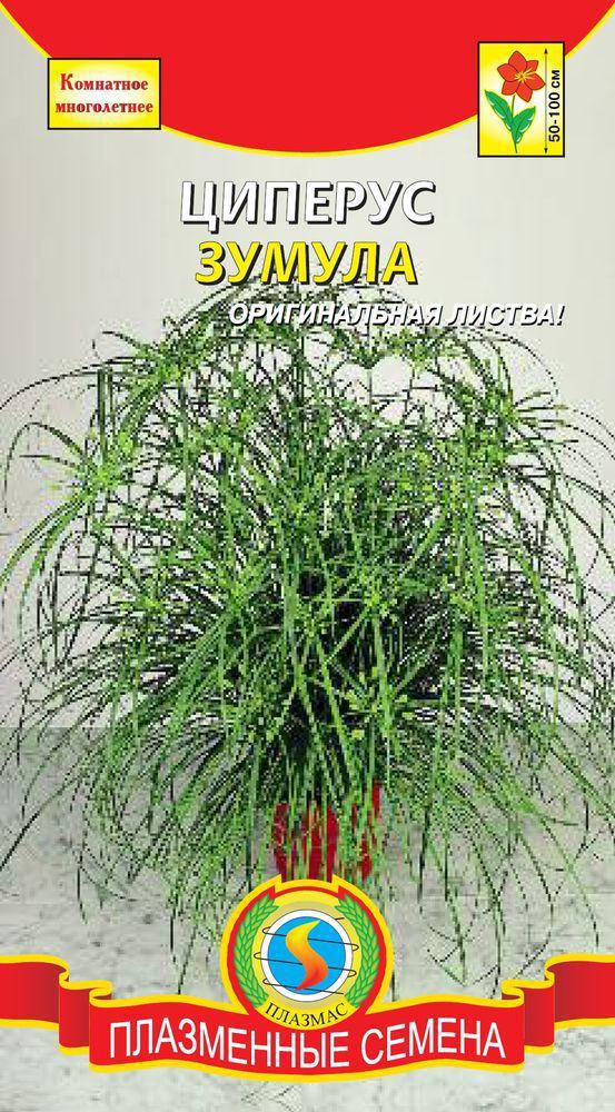 

Циперус Зумула 0,01 г (Плазменные семена)