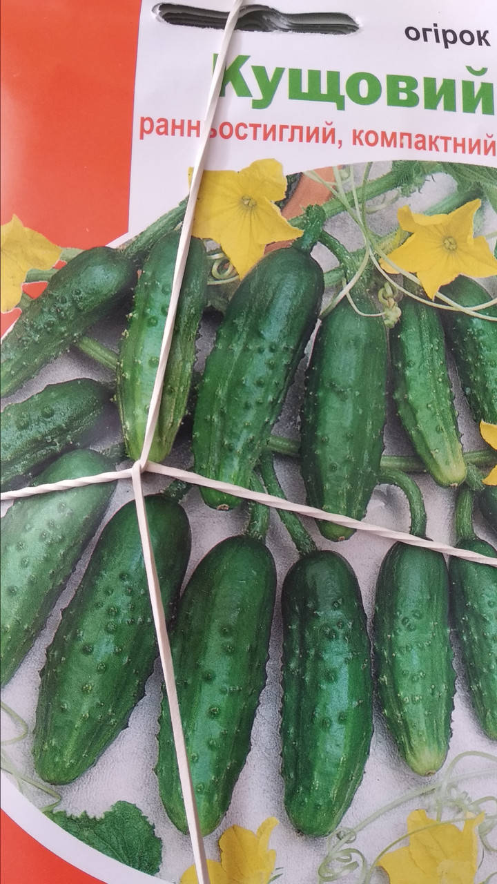 

Огурец Кустовой 1г