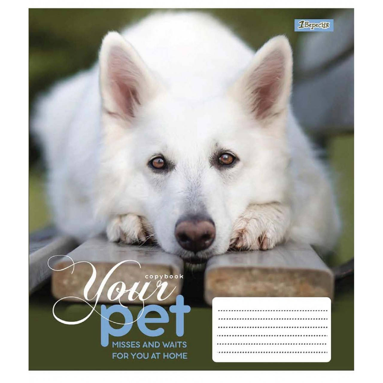 

А5/12 кос. без д/л 1В Dog loyality, зошит учнів.