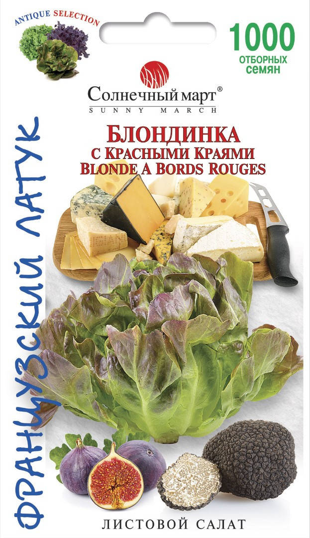 

Салат Блондинка с красными краями 1000 шт ТМ Солнечный март