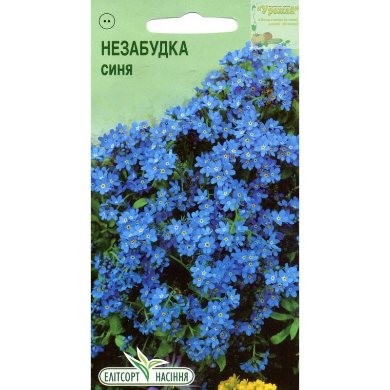 

Семена цветы Незабудка синяя, 0,1 г, Синий