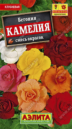

Семена Бегония крупноцветковая махровая Камелия Смесь 10 семян Аэлита, Разные цвета