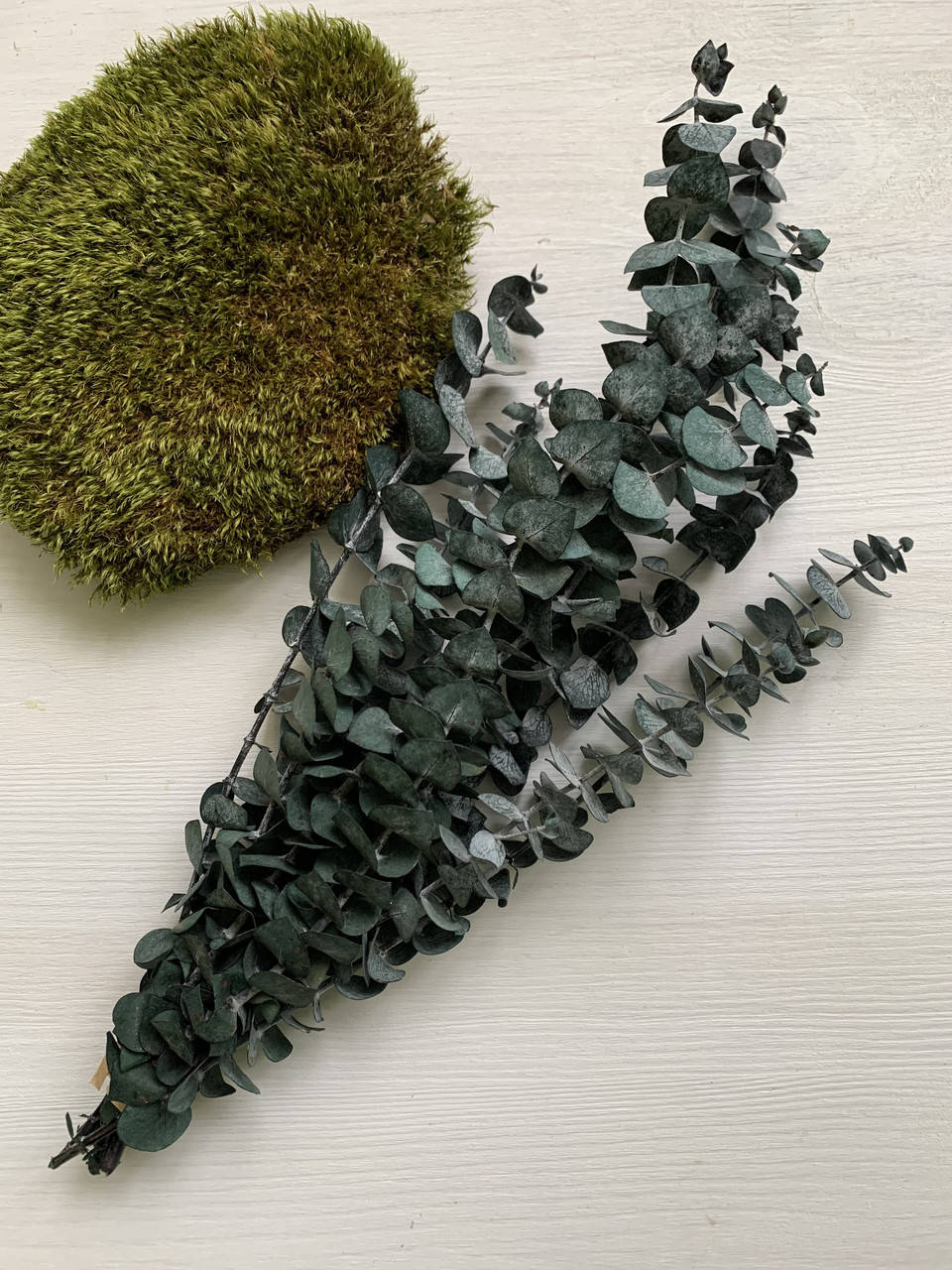 

Эвкалипт стабилизированный зелёный baby blue 20-30 см 5 веток