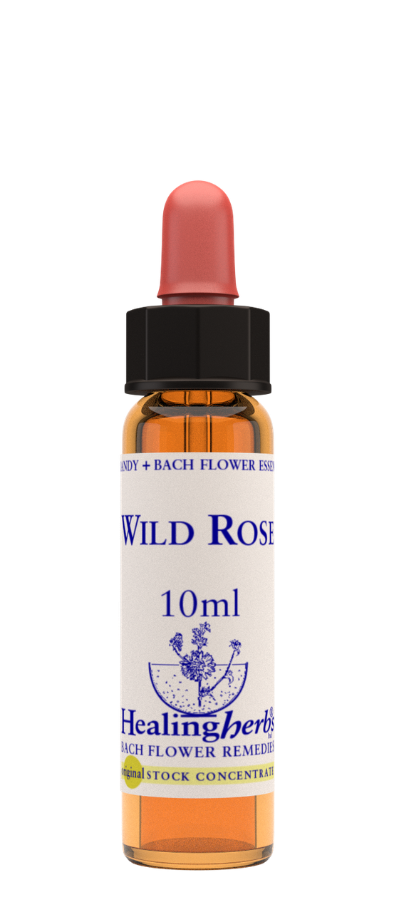 

Цветы Баха. WILD ROSE - Шиповник (№ 37) Healing Herbs