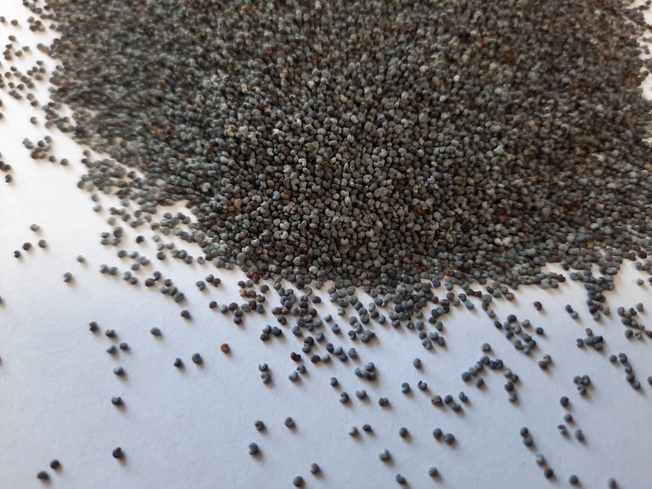 

Мак, Черный