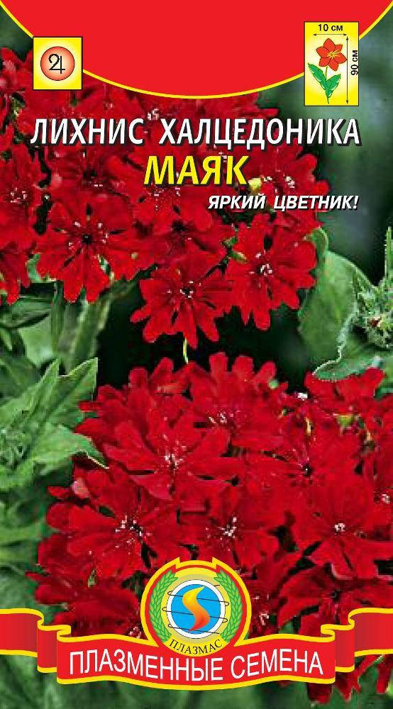 

Семена Лихнис Маяк 0,1 грамма Агроника, Красный