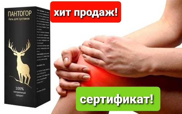 

Пантогор - гель для лечения суставов
