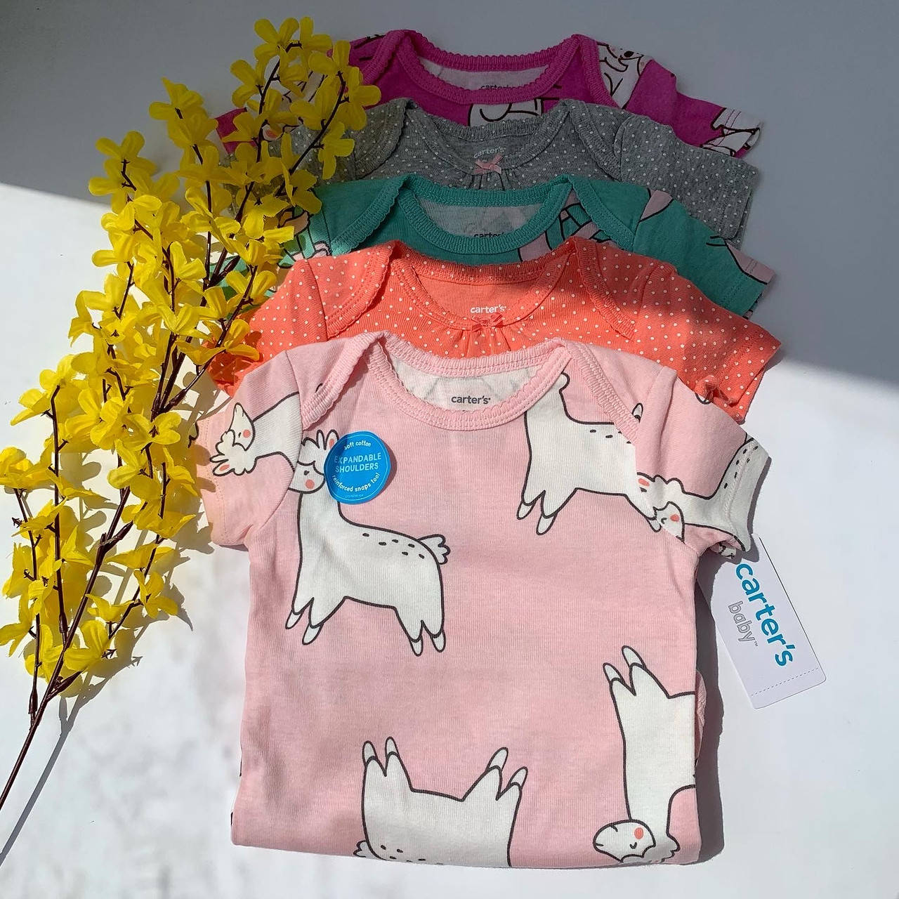 

Комплект боди картерс для девочки с коротким рукавом Carter's