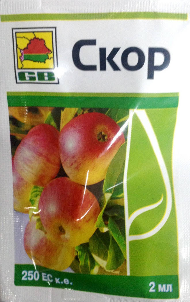 

Системный фунгицид Скор 250 ЕС профилактического и лечебного действия, ампула 2 мл Беларусь