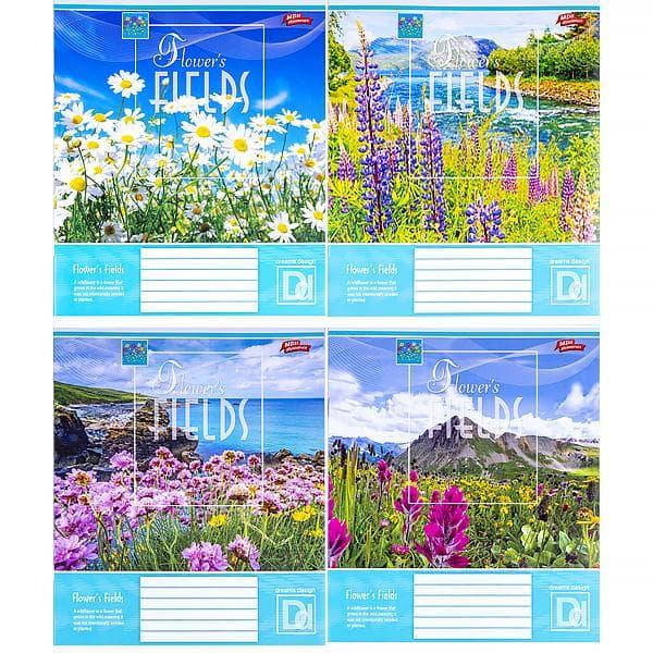 

Тетрадь цветная 24 листа, линия 3092D