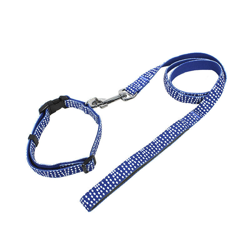 

Ошейник для собак TUFF HOUND TC00305 Blue and Point (2.0*38-51) с поводком принтом Gold, Синий