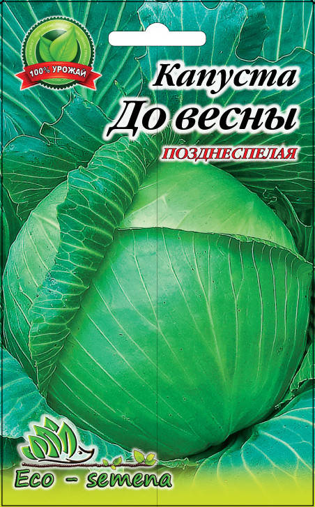 

Семена капуста До Весны для хранения, 3 г