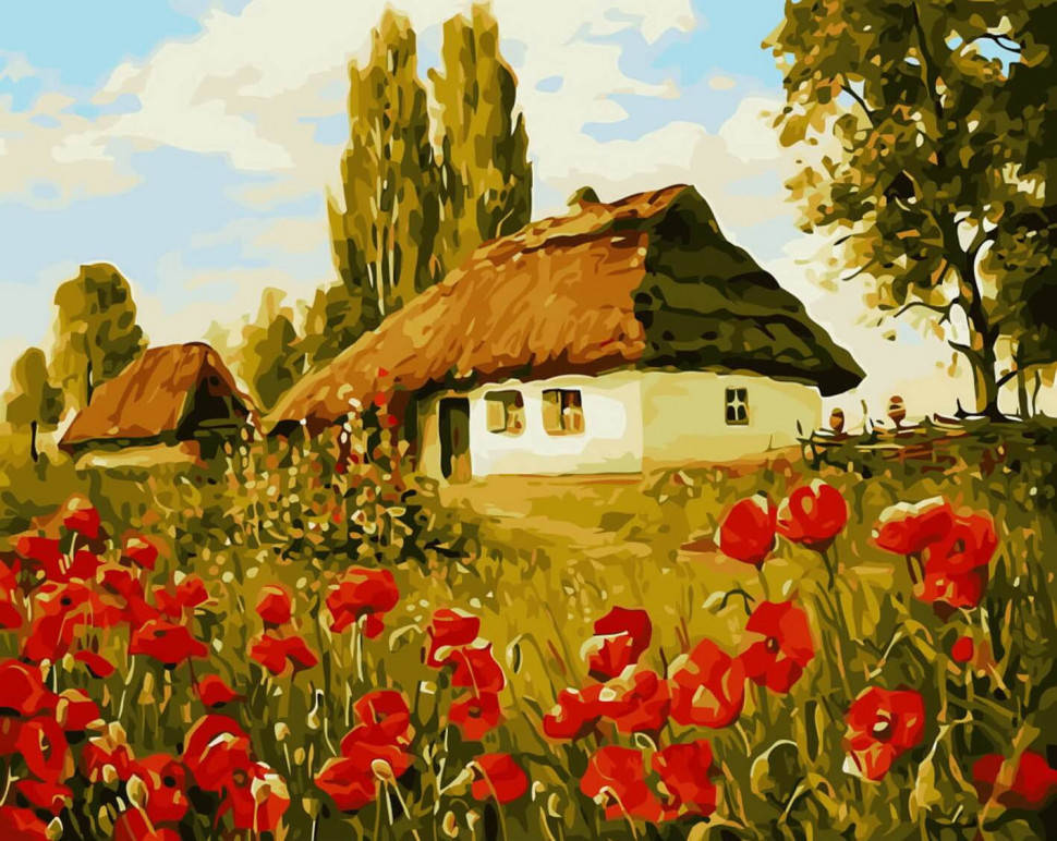 

Картины по номерам Домик в маках 40х50