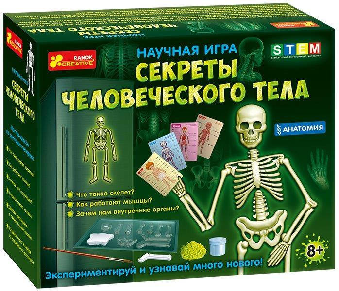 

Научная игра Анатомия. Секреты человеческого тела 8+, Ranok-creative