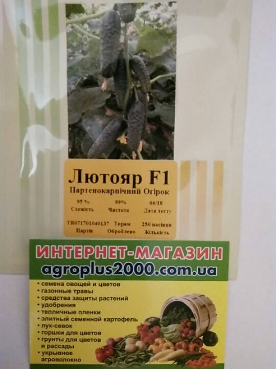 

Семена Огурец самоопыляющийся Лютояр F1, 250 семян Yuksel seeds
