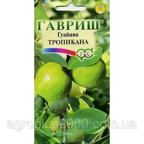 

Семена Гуайава Тропикана 0,2 грамма Гавриш