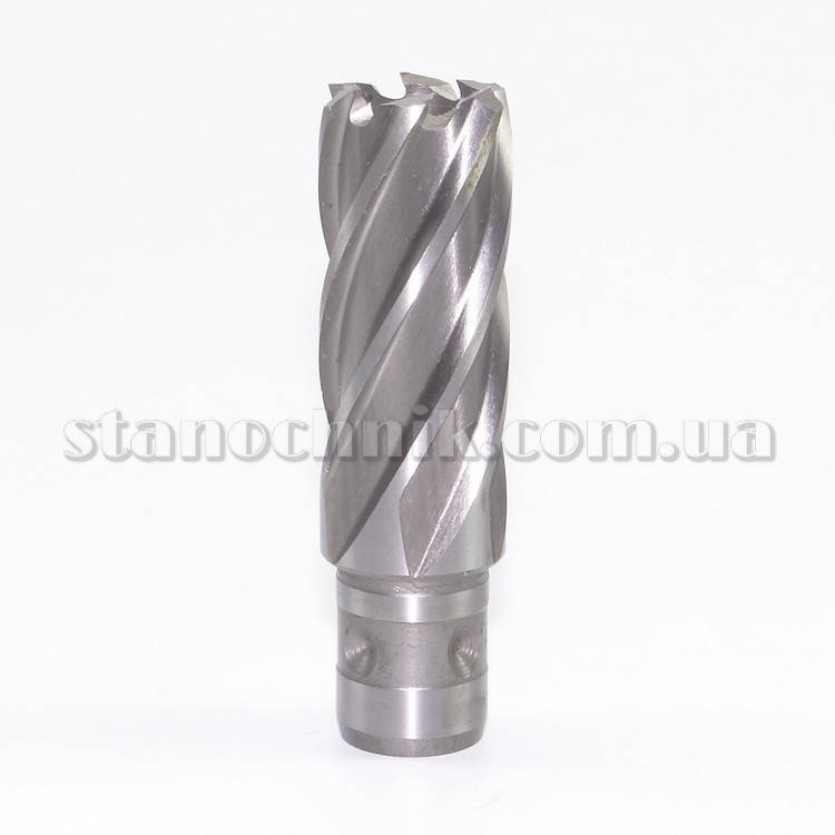 

Фреза кольцевая 22x50 мм HSS QuickIN FEIN (63133219052)