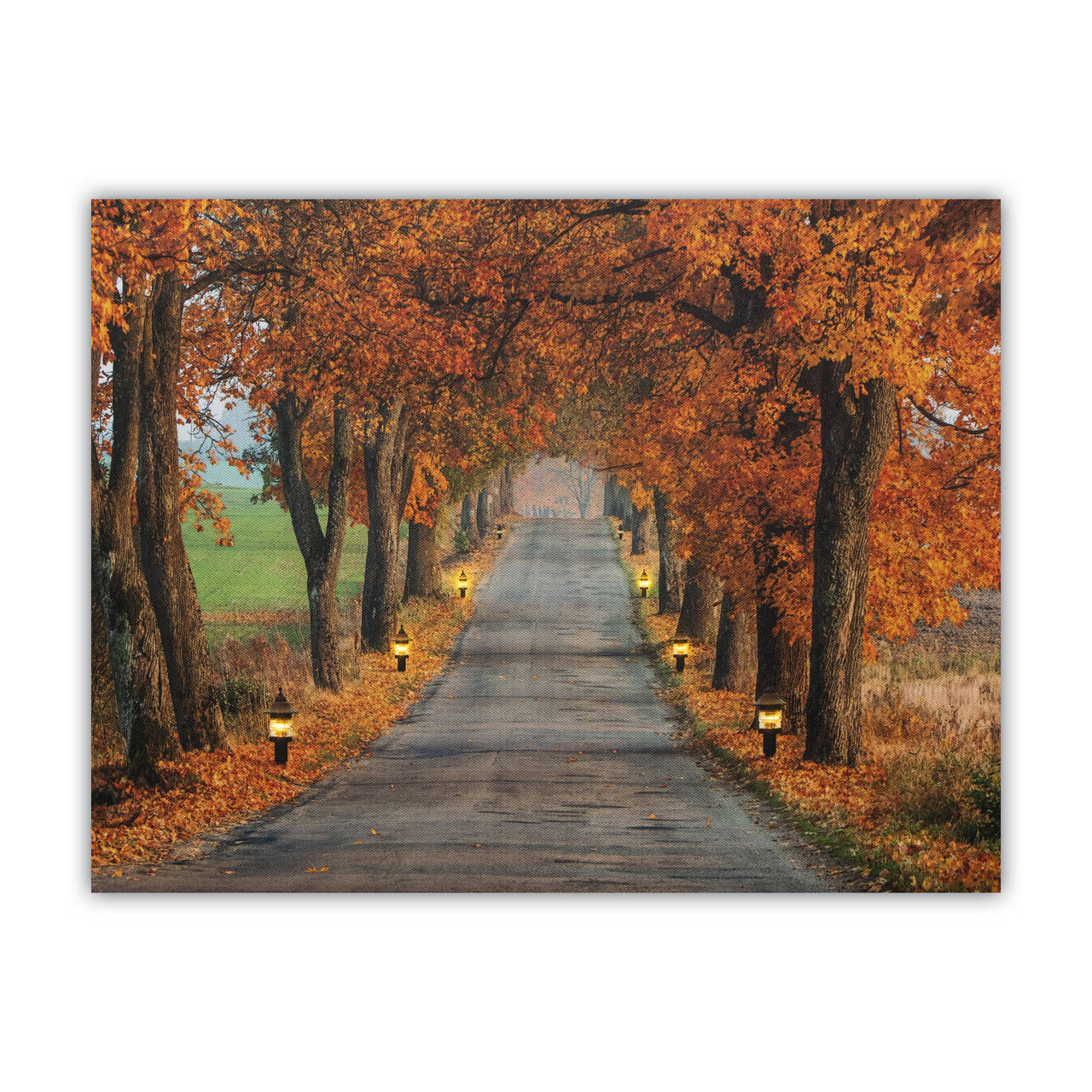 

Светящаяся картина - осенняя тропа с фонарями, 6 LЕD ламп, 30x40 см (940072)