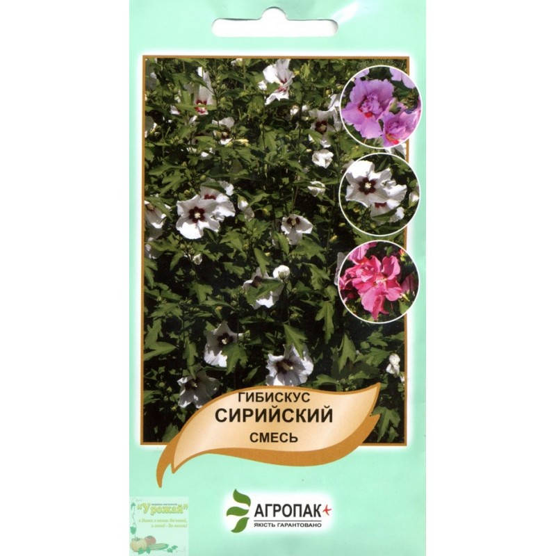 

Семена Гибискус сирийский, 0,4 г