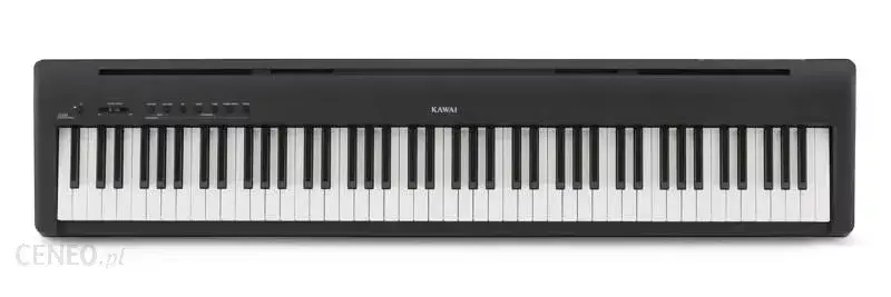 

Kawai ES-110 B