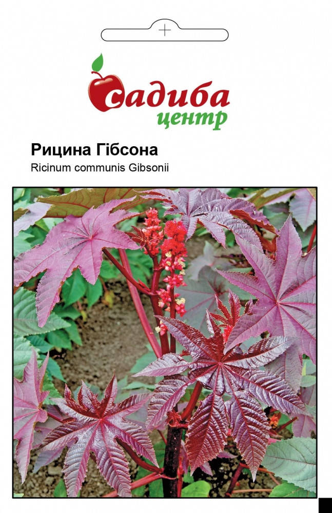 

Семена Клещевина Гибсона 3шт Садыба Центр