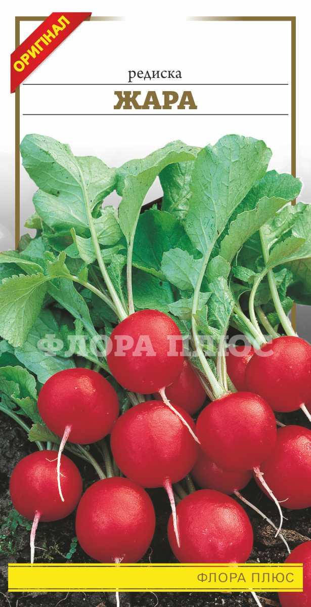 

Семена редис Жара Флора плюс