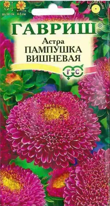 

Астра Пампушка Вишневая, 0.3г