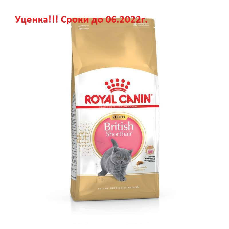 

УЦЕНКА!!! Сроки до 6.22!!!! Royal Canin Kitten British Shorthair для Британских короткошерстных котят 10кг.