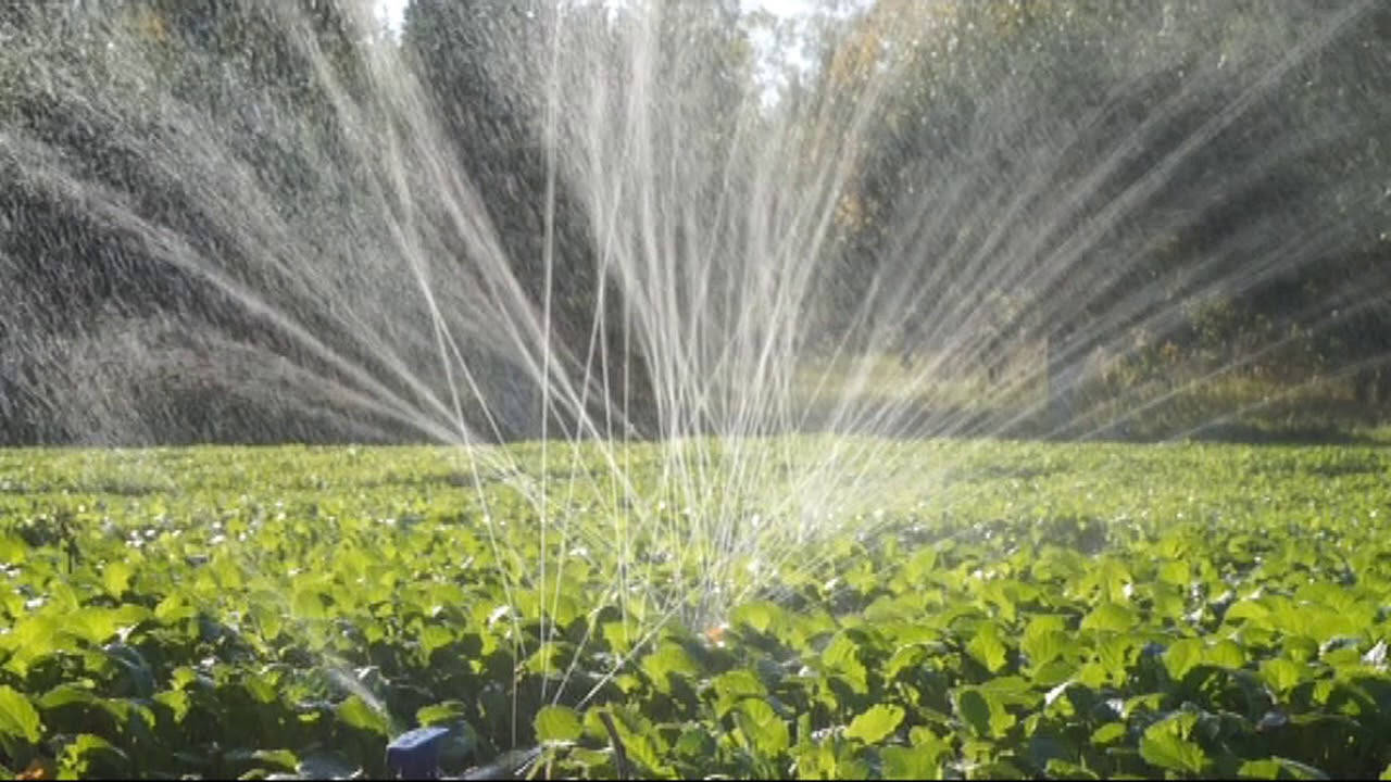 

Спрэй - шланг Спрей лента Туман с захват 4 м Golden Spray Голден Спрэй