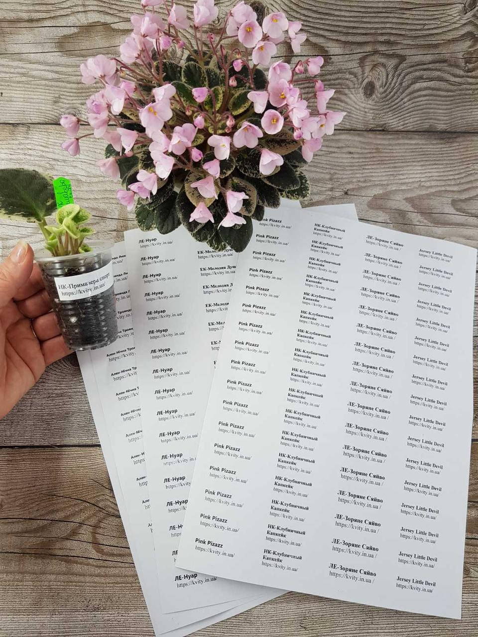 

Наклейки для маркировки сортов с клейким шаром 48/16,6 mm