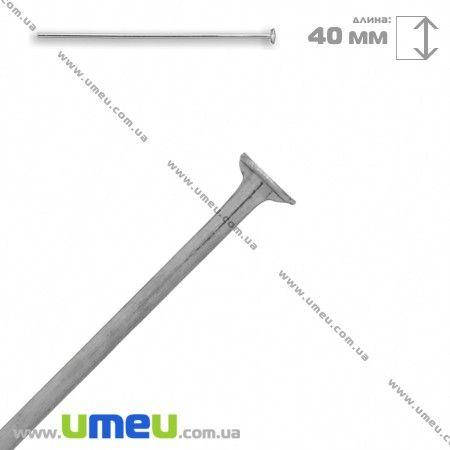 

Гвоздики из нержавеющей стали, 40 мм, Темное серебро, 1 шт (STL-031406)