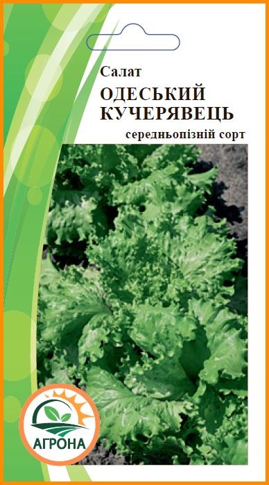 

Салат ОДЕСЬКИЙ КУЧЕРЯВЕЦЬ 1гр.