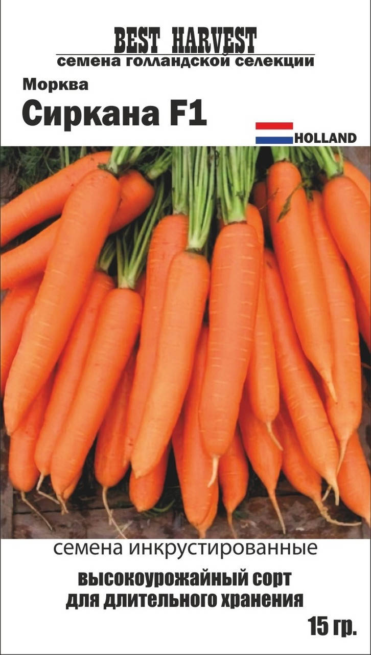 

Семена морковь "Сиркана F1" инкрустированные 15 г.