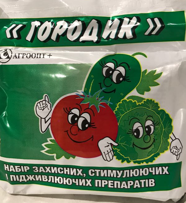 

Набор "Городик"