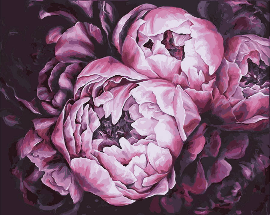 

Картина по номерам Королевские пионы 40 х 50 см (KH2076)