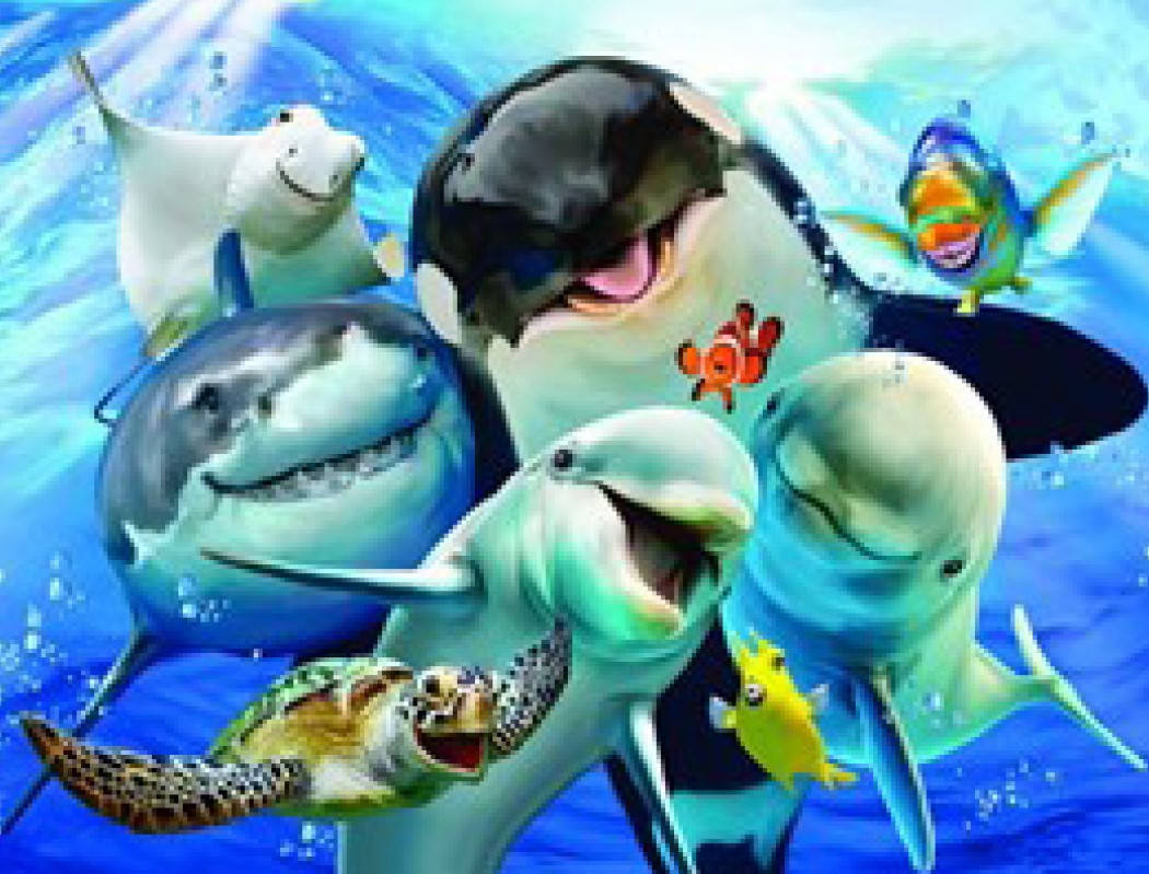 

Картина по номерам Дельфины и Немо 3D 2 в 1 на подрамнике 40х50 см CY2256