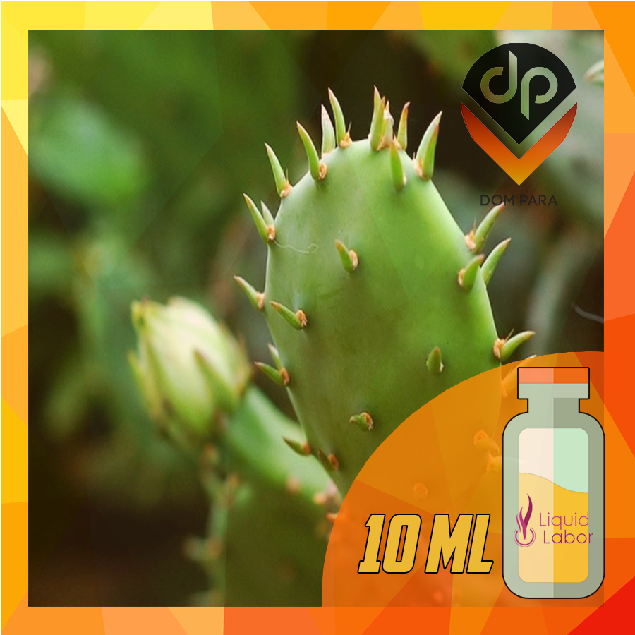 

Ароматизатор Liquid Labor Mexican Cactus 10 мл | Мексиканский кактус