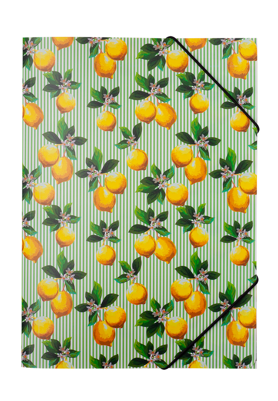 

Папка на резинке A4 LEMONS ARABESKI салатовая