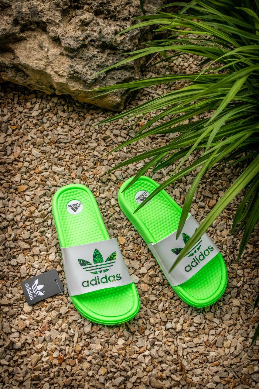 

Женские тапочки адидас ЖІночі тапочки Adidas Женские шлепанцы Adidas Тапочки салатового цвета Жіночі тапочки