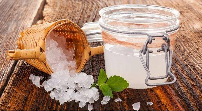 

Морской рис (морской гриб, зооглея, или рисовый гриб) Камбуча