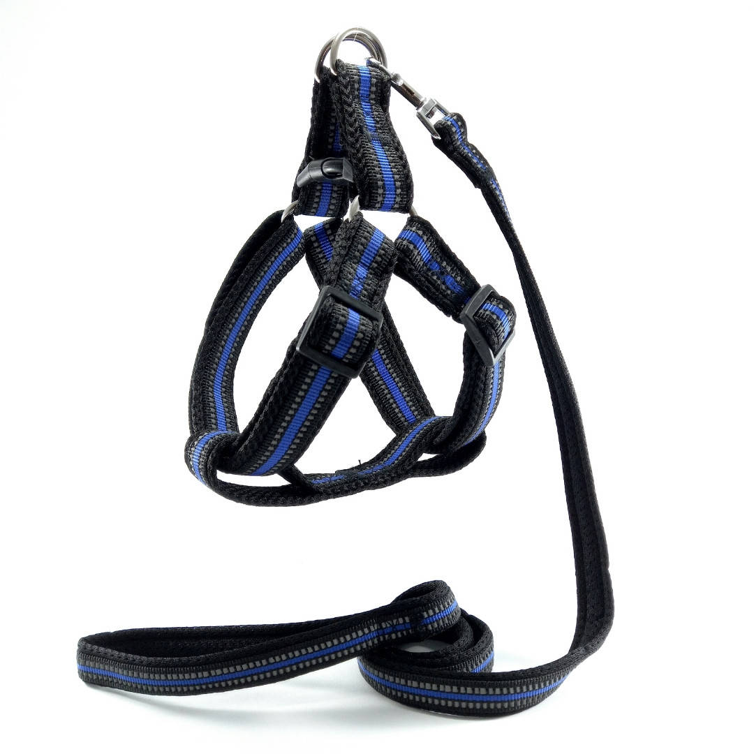 

Шлея с поводком для собак 3см/45-70см/120см чёрно-синий