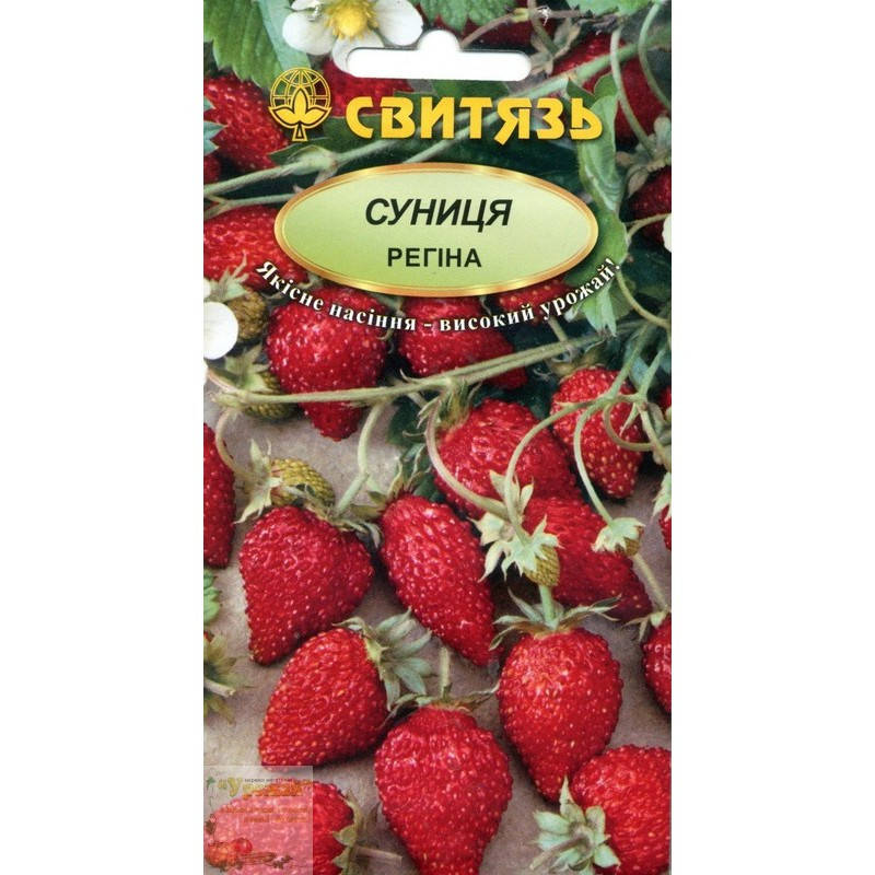 

Семена земляника ремонтантная Регина, 0,1 г