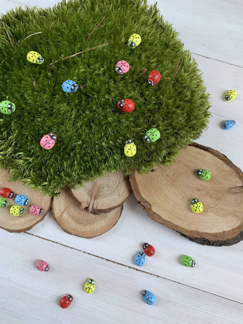 

Божьи коровки на липучке1,1см *0,8 см 5 цветов ( упакова 25 шт )