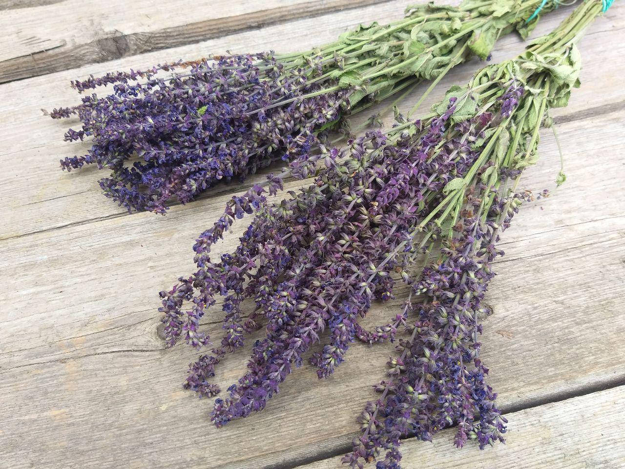 

Шалфей сухоцвет Salvia officinalis 10-12 веток в букете