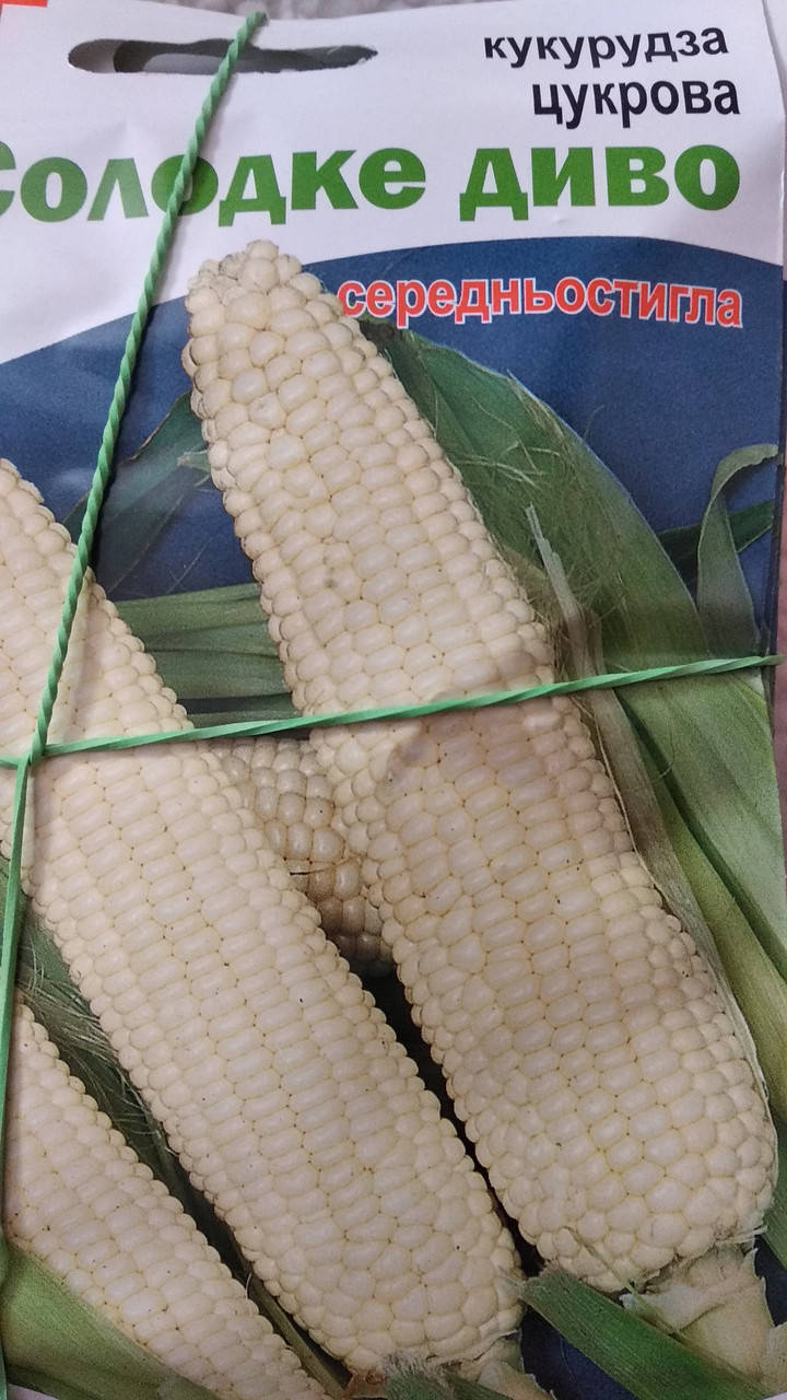 

Кукуруза сахарная Сладкое чудо 20г